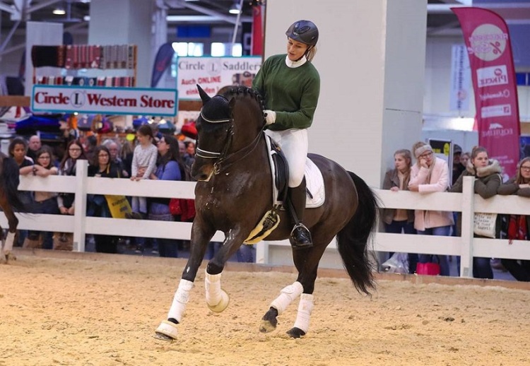 德国汉诺威马术、狩猎、枪械展览会