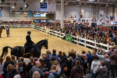 德国汉诺威马术、狩猎、枪械展览会展会现场图片