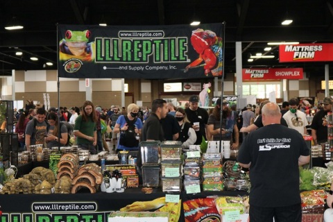 美国全国爬行宠物展览会展会现场图片
