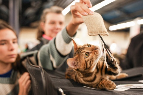 法国巴黎宠物用品展览会展会现场图片