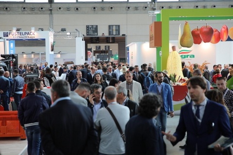 意大利里米尼果蔬展览会展会现场图片