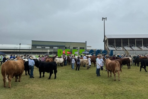 澳洲澳大利亚昆士兰州牛肉产业及肉类加工展览会展会现场图片
