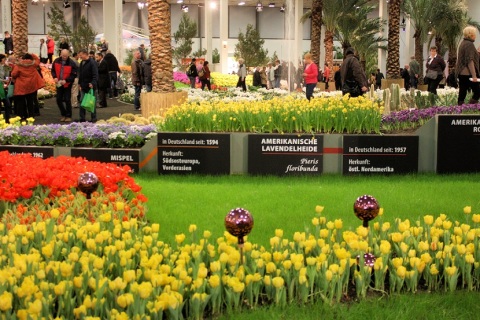 德国柏林农业及农产品展-柏林国际绿色周展会现场图片