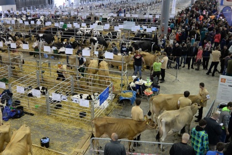 德国斯图加特宠物用品展览会展会现场图片