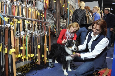 德国汉诺威马术、狩猎、枪械展览会展会现场图片