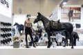 2027年德国科隆马术马具展览会参展前准备及重要注意事项