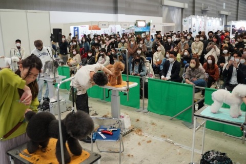 日本东京宠物用品展览会展会现场图片