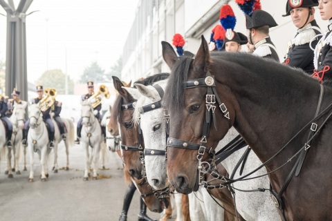 意大利维罗纳马术马具展览会展会现场图片