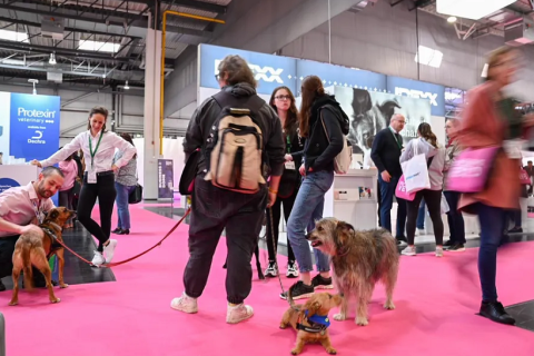 德国兽医、宠物及小动物医疗展览会展会现场图片