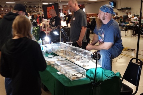 美国全国爬行宠物展览会展会现场图片