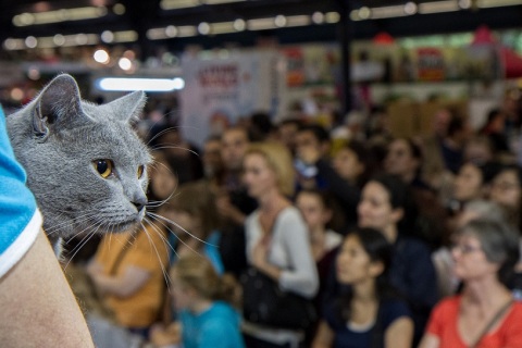 法国巴黎宠物用品展览会展会现场图片