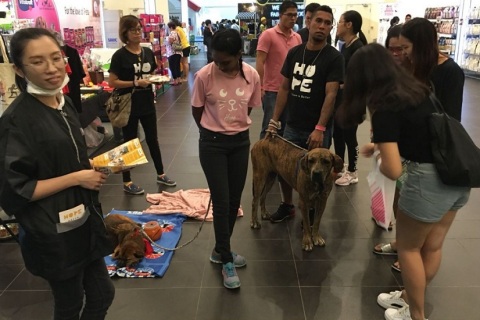 马来西亚宠物用品展览会展会现场图片