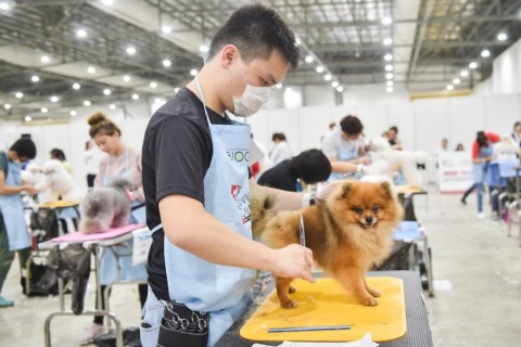 新加坡宠物展览会展会现场图片