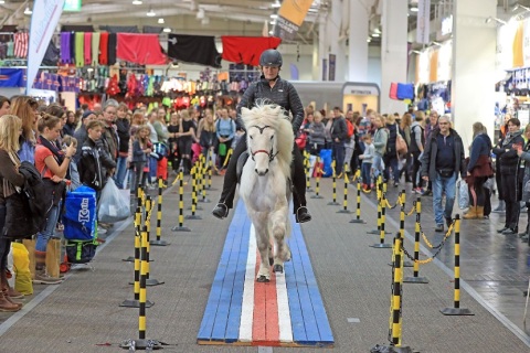 德国汉诺威马术、狩猎、枪械展览会展会现场图片