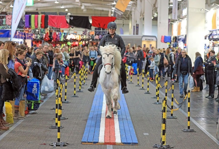 德国汉诺威马术、狩猎、枪械展览会
