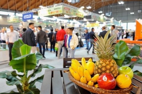 意大利里米尼果蔬展览会展会现场图片