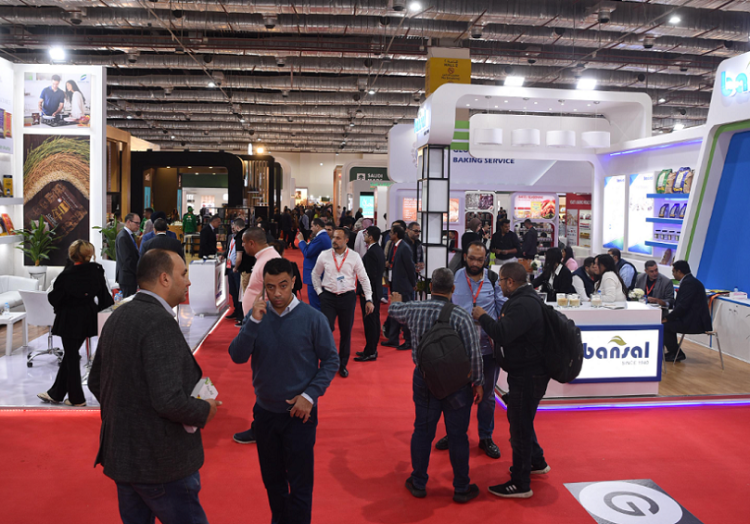 埃及开罗包装印刷展-埃及生活用纸展