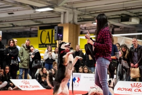 法国巴黎宠物用品展览会展会现场图片