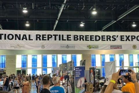 美国全国爬行宠物展览会展会现场图片