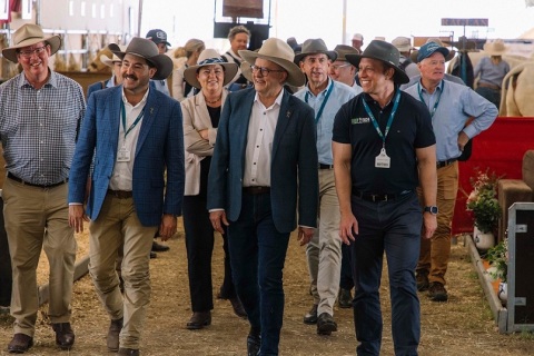 澳洲澳大利亚昆士兰州牛肉产业及肉类加工展览会展会现场图片