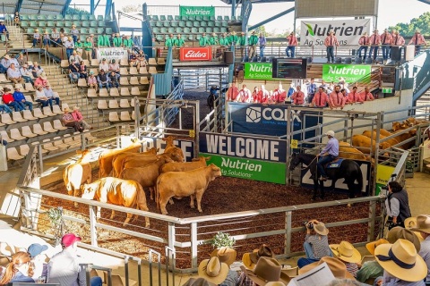 澳洲澳大利亚昆士兰州牛肉产业及肉类加工展览会展会现场图片