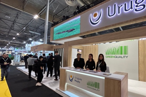 德国纽伦堡玩具展览会展会现场图片