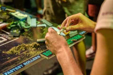 南非约翰内斯堡大麻展览会展会现场图片