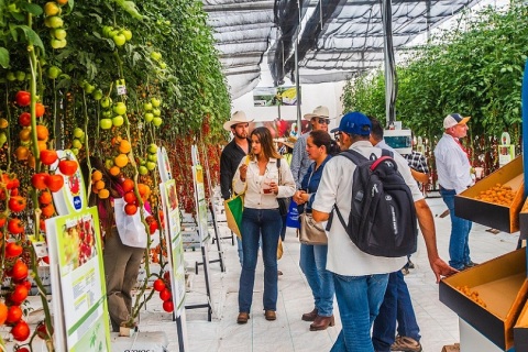 墨西哥农业机械、食品机械展览会展会现场图片