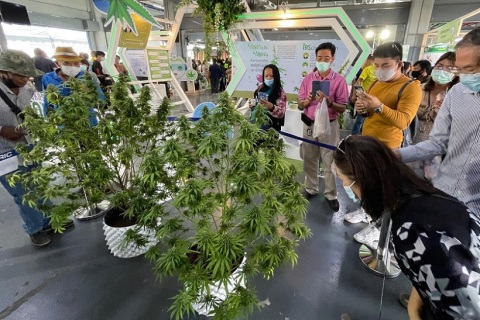 泰国曼谷大麻展-亚洲国际大麻论坛AIHEF展会现场图片