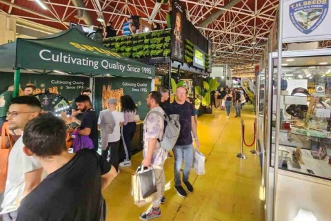 西班牙巴塞罗那大麻展览会展会现场图片