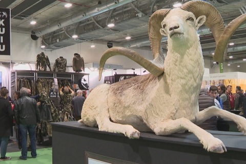 西班牙马德里狩猎及垂钓展览会展会现场图片