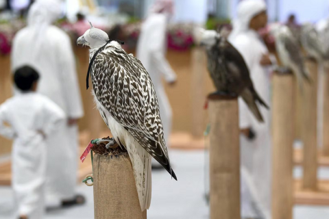中东迪拜狩猎装备、枪械、刀具展览会展会现场图片