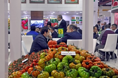 土耳其温室农业展-土耳其畜牧机械展展会现场图片