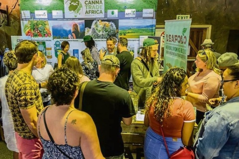 南非约翰内斯堡大麻展览会展会现场图片