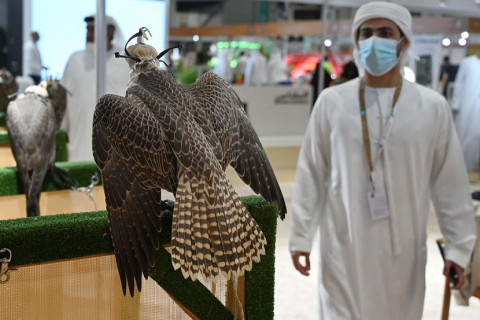 中东迪拜狩猎装备、枪械、刀具展览会展会现场图片