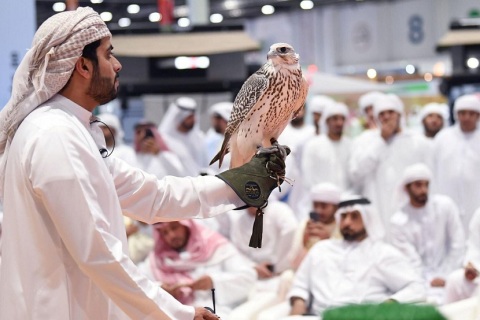 中东迪拜狩猎装备、枪械、刀具展览会展会现场图片