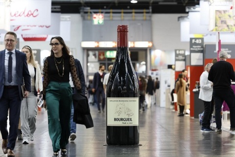 日本东京葡萄酒展览会展会现场图片