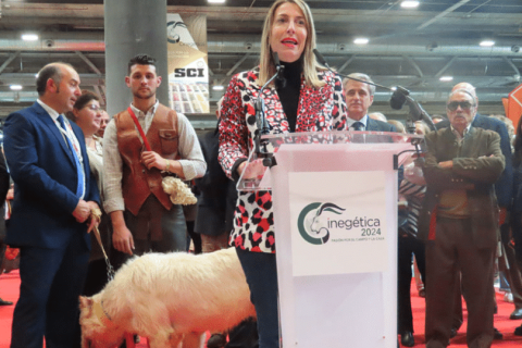 西班牙马德里狩猎及垂钓展览会展会现场图片