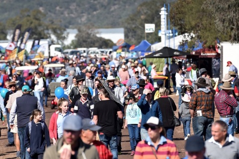澳洲澳大利亚农业、农业机械展览会展会现场图片