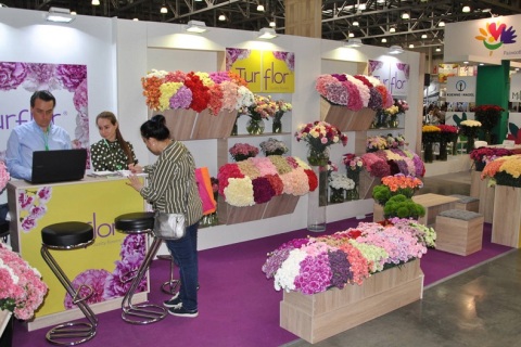 俄罗斯莫斯科花卉园艺展览会展会现场图片