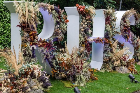 英国切尔西花展展会现场图片