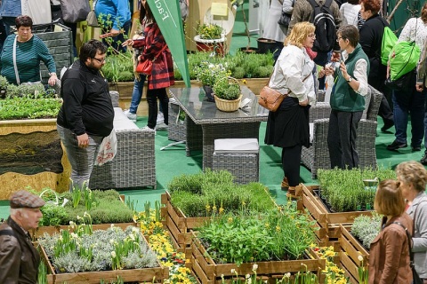 德国德累斯顿花卉园艺展览会展会现场图片