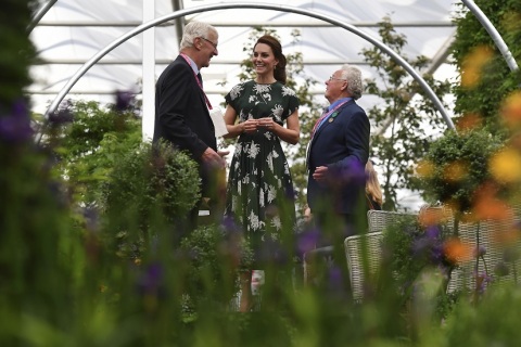 英国切尔西花展展会现场图片