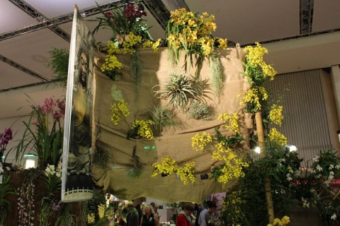 德国德累斯顿花卉园艺展览会展会现场图片