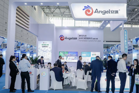 上海国际生物工程装备与技术展览会展会现场图片