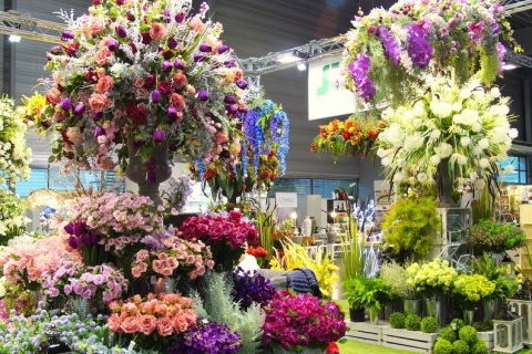 波兰波兹南花卉园艺展览会展会现场图片