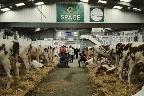 法国雷恩畜牧展览会展会现场图片