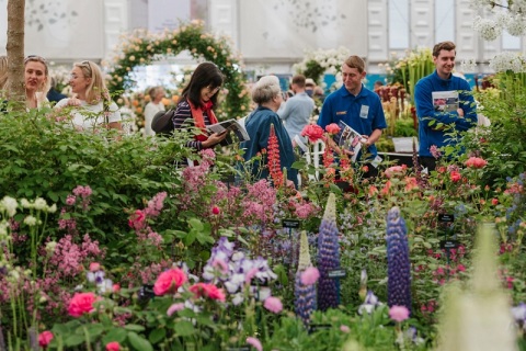英国切尔西花展展会现场图片