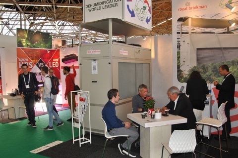 荷兰阿姆斯特丹花卉园艺展览会展会现场图片