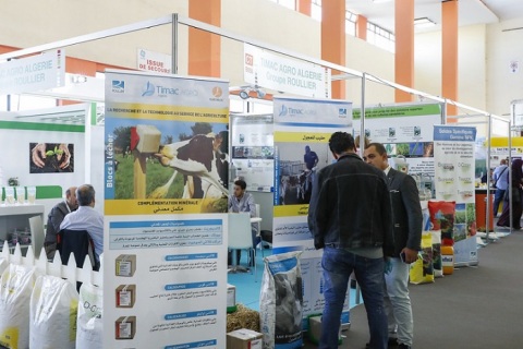 阿尔及利亚农业及畜牧展览会展会现场图片